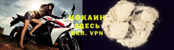 шишки Бородино