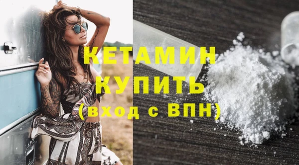 шишки Бородино