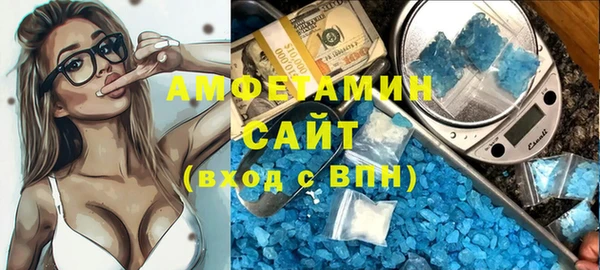 шишки Бородино