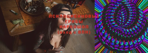 шишки Бородино