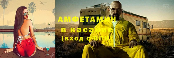 шишки Бородино