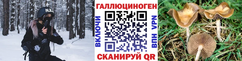 Галлюциногенные грибы GOLDEN TEACHER  Новосокольники 